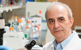 Dario Campana